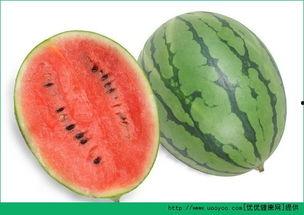 吃瓜嘴过敏,揭秘瓜果美味背后的健康隐患